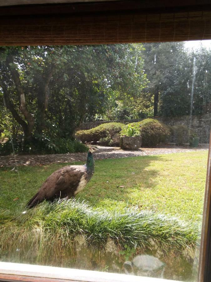 Villa Casa Sardao Trofa Esterno foto